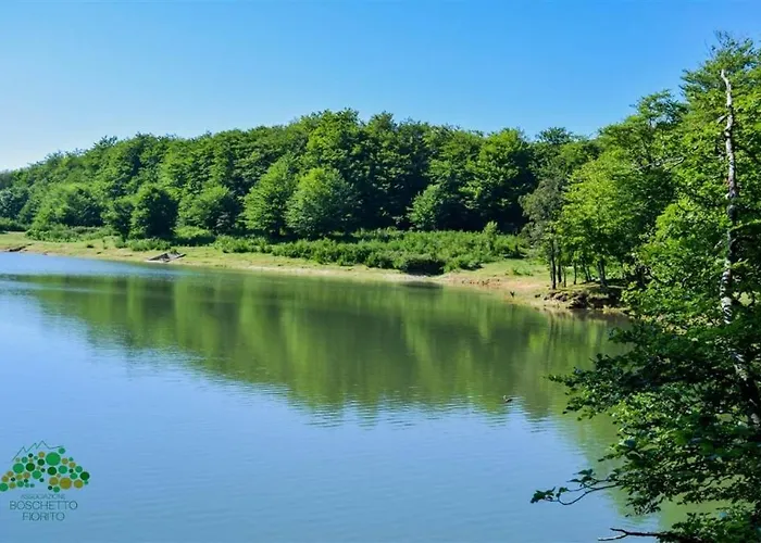 Campo Sportivo 招待所 Taurianova