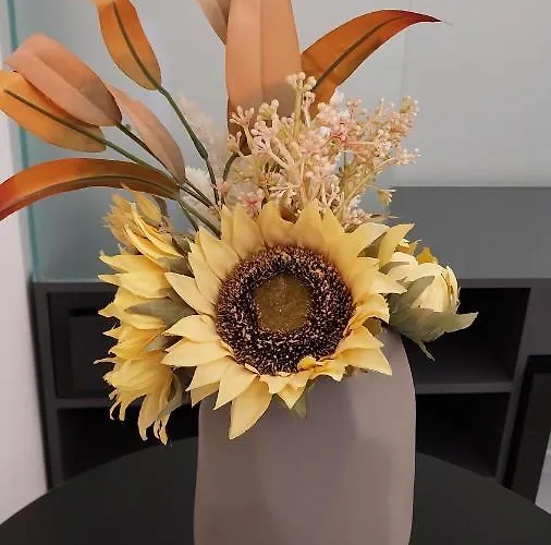 Vendégház Campo Sportivo